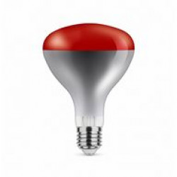 Asalite Infra Izzó Piros R125 E27 100W 2800K Speciális izzók Fürdöszoba ????????????? ASALITE