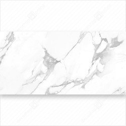 G.STATUARIO EVA MAT 60x120 1.44 m2/dob Padlólap Padlólap 406594 Import